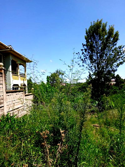 Prime Land on Sale, 1/2 Acre, Off Mirema Drive - Image 3