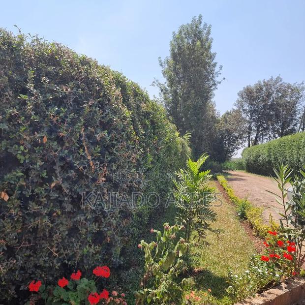 1.2 Acres Rhino Park at 78m