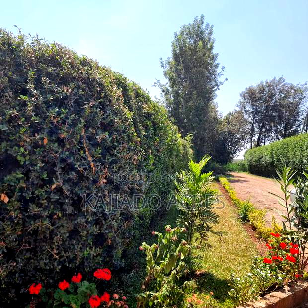 1.2 Acres Rhino Park at 78m