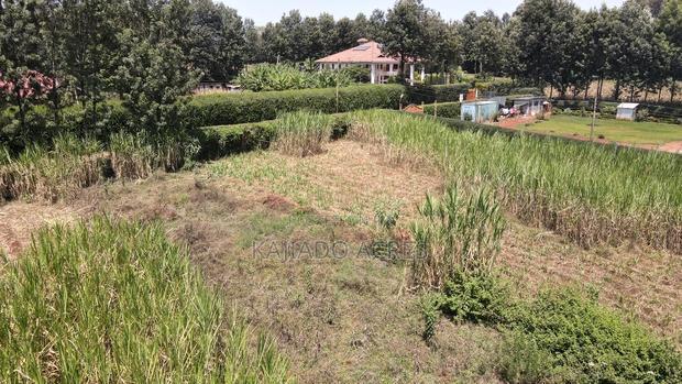 1.2 Acres Rhino Park at 78m