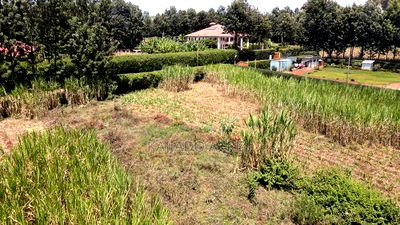 1.2 Acres Rhino Park at 78m - Image 9