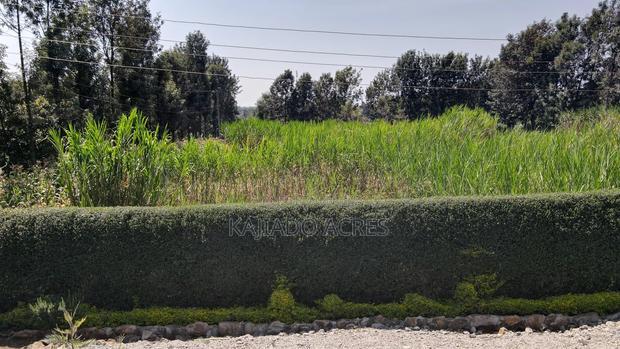 1.2 Acres Rhino Park at 78m