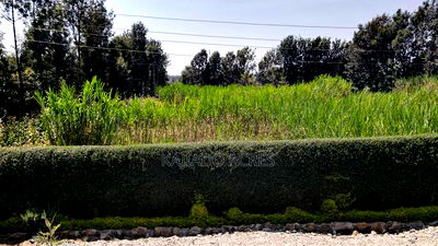 1.2 Acres Rhino Park at 78m - Image 14