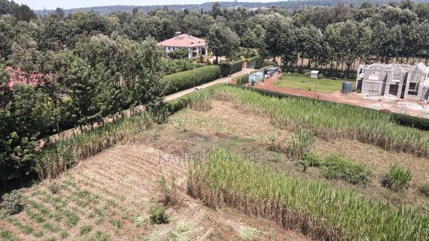 1.2 Acres Rhino Park at 78m