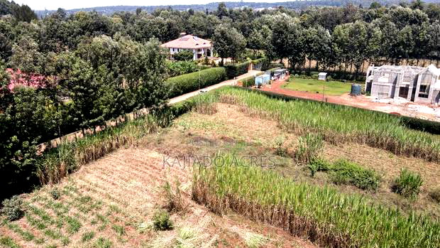 1.2 Acres Rhino Park at 78m