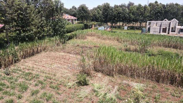 1.2 Acres Rhino Park at 78m