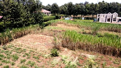 1.2 Acres Rhino Park at 78m - Image 3