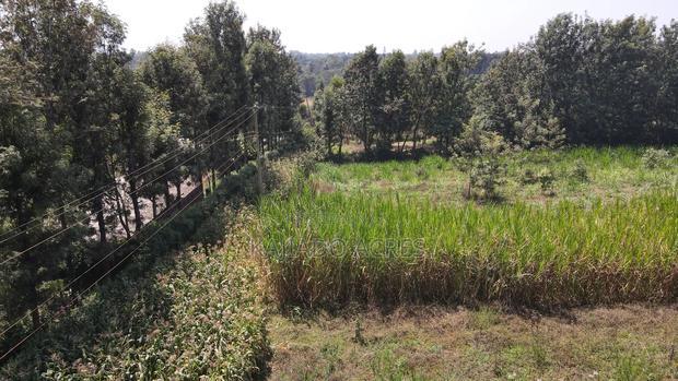 1.2 Acres Rhino Park at 78m