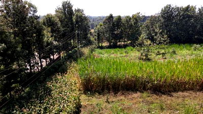 1.2 Acres Rhino Park at 78m - Image 7