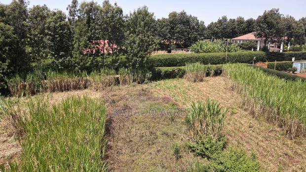 1.2 Acres Rhino Park at 78m