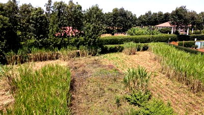 1.2 Acres Rhino Park at 78m - Image 8