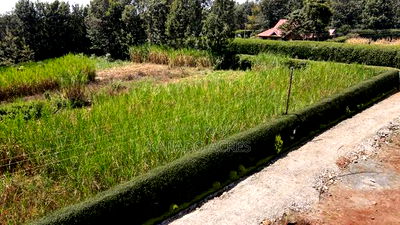 1.2 Acres Rhino Park at 78m - Image 11