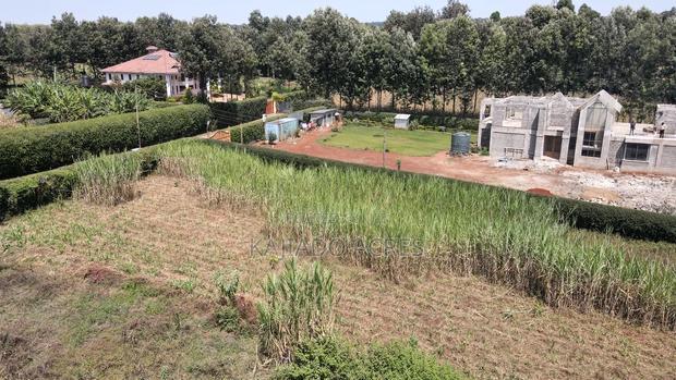 1.2 Acres Rhino Park at 78m