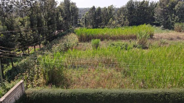 1.2 Acres Rhino Park at 78m