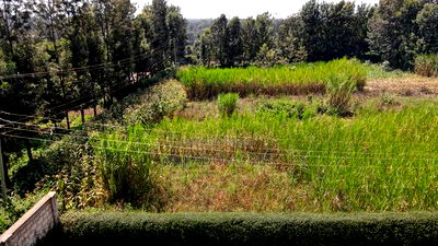 1.2 Acres Rhino Park at 78m - Image 13