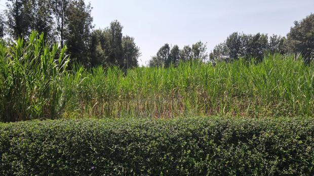 1.2 Acres Rhino Park at 78m