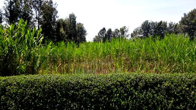 1.2 Acres Rhino Park at 78m - Image 15