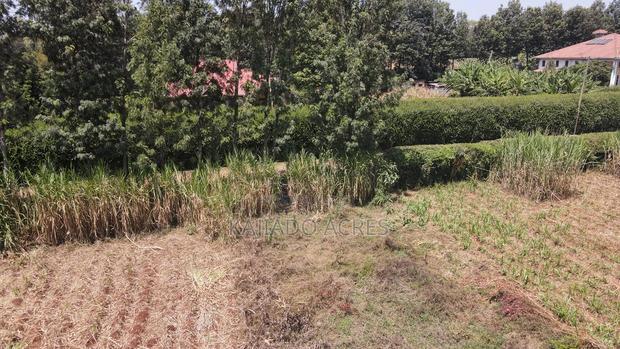 1.2 Acres Rhino Park at 78m