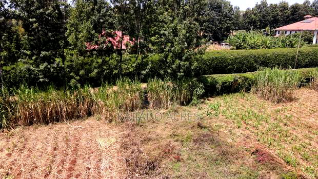 1.2 Acres Rhino Park at 78m