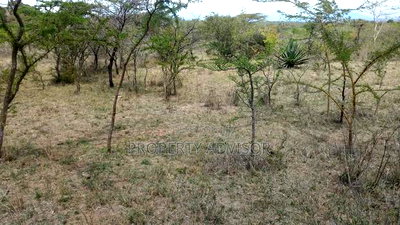 Syokimau Katani Road Plots for Sale - Image 1