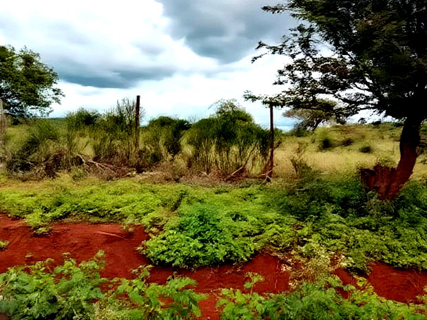 10 Acres Emali Makasa