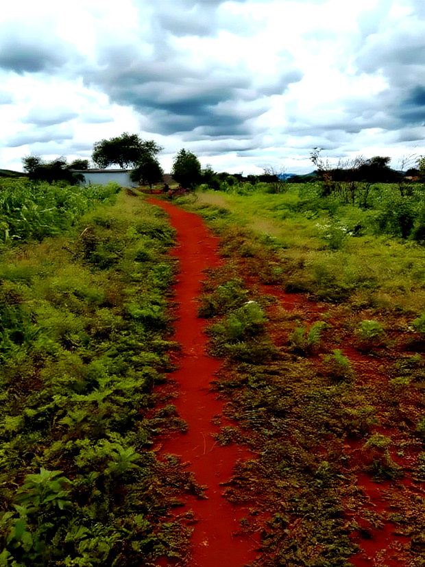 10 Acres Emali Makasa