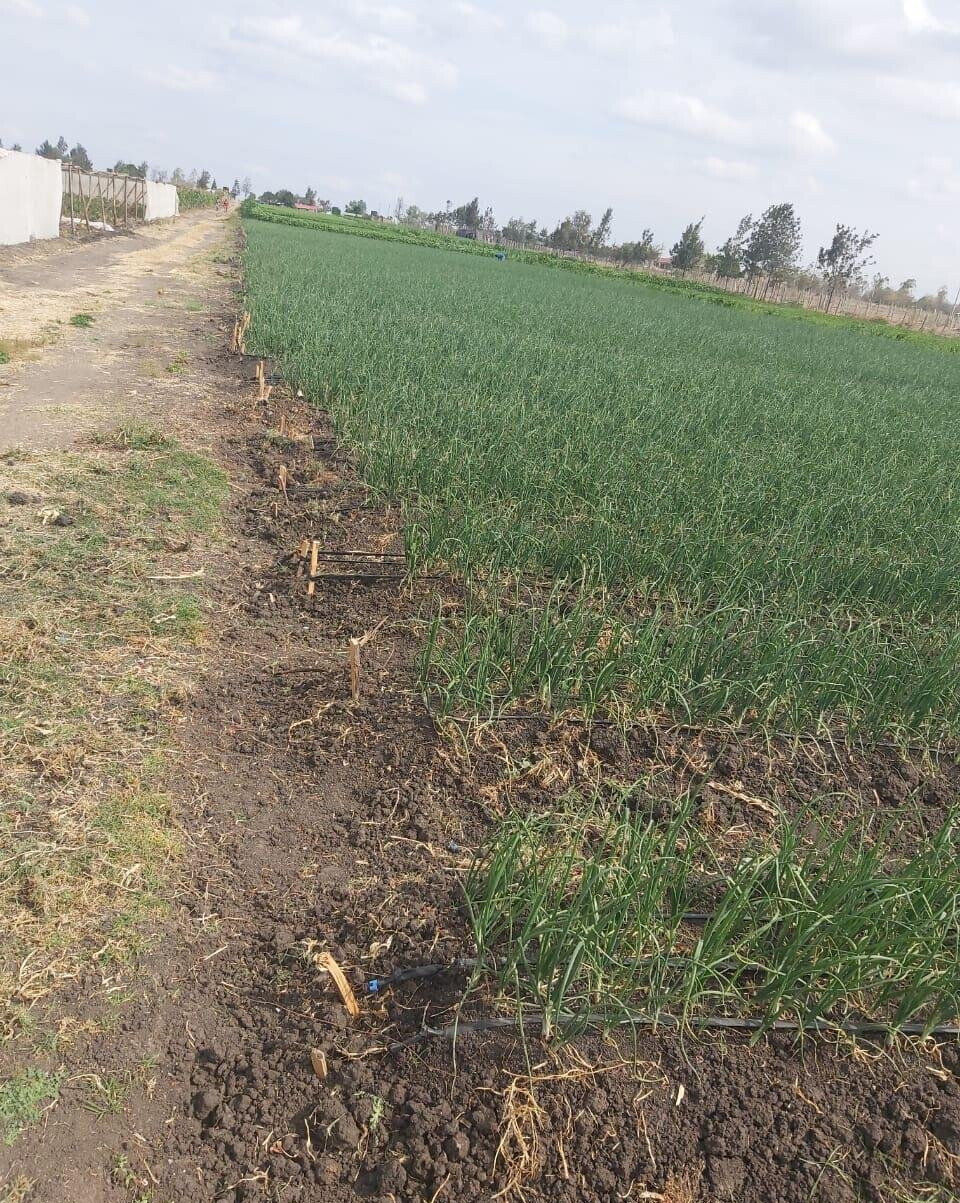 20-Acre Land with Borehole - Kisaju