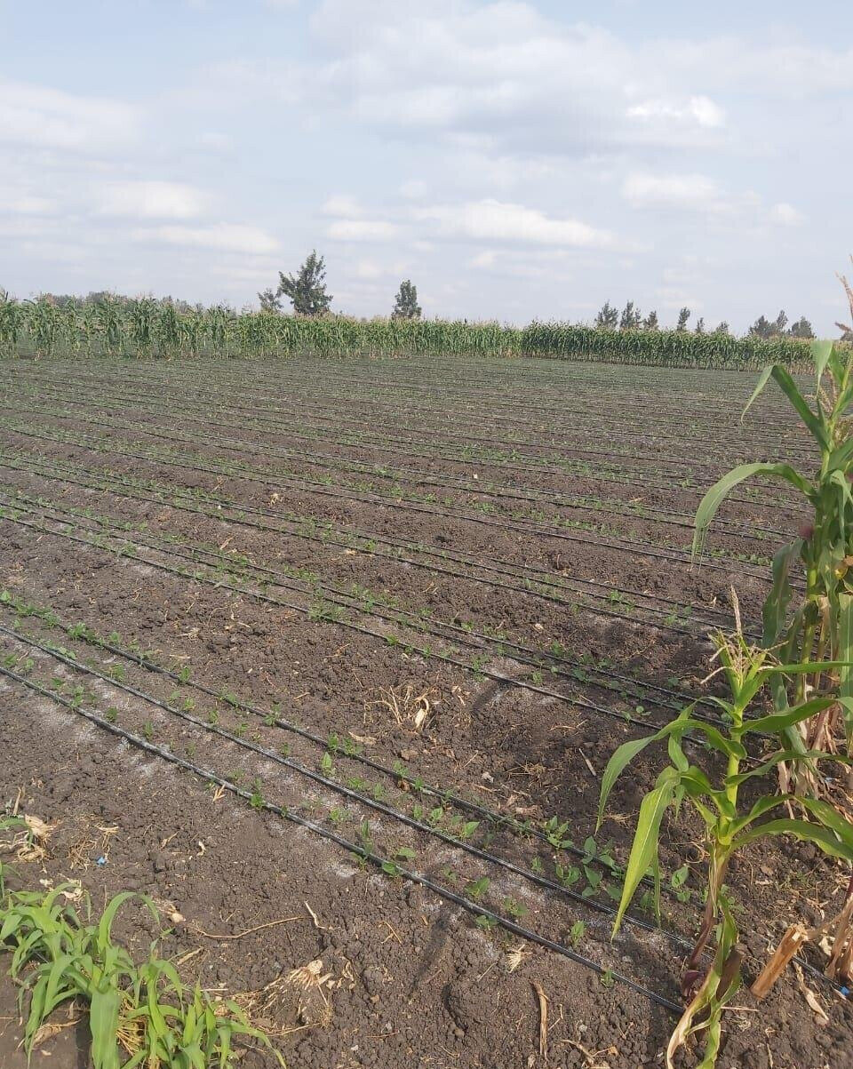 20-Acre Land with Borehole - Kisaju