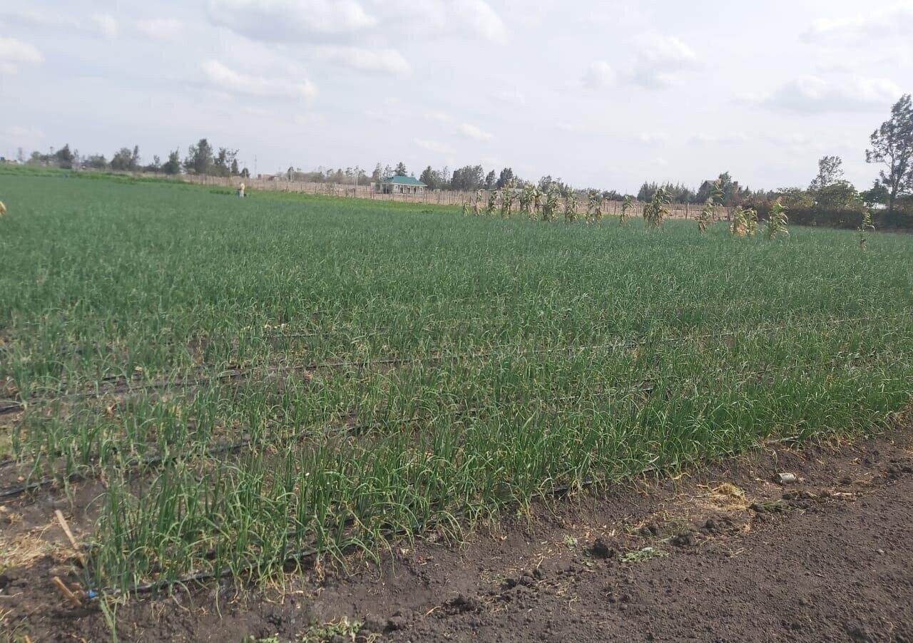 20-Acre Land with Borehole - Kisaju