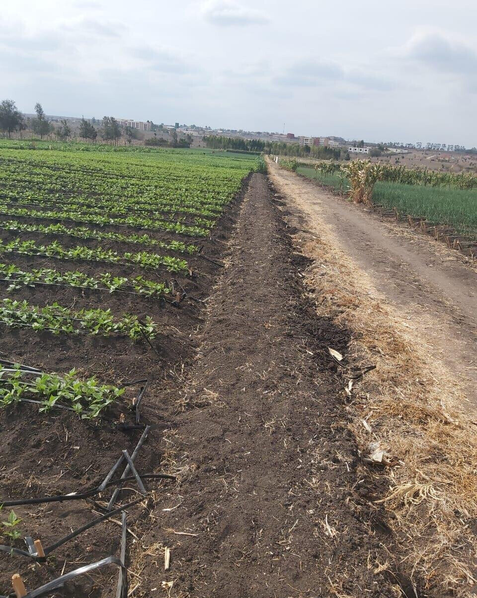 20-Acre Land with Borehole - Kisaju
