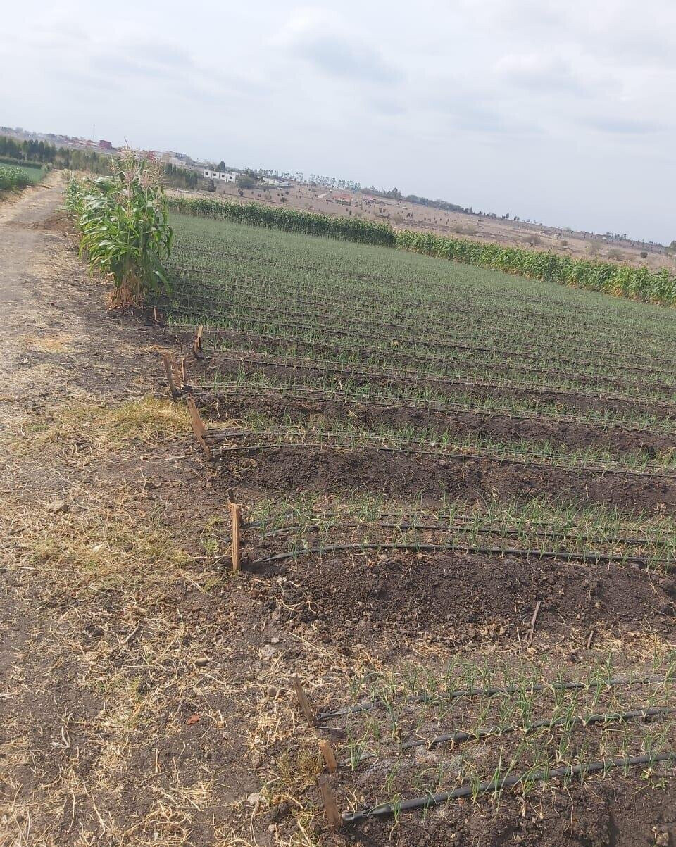 20-Acre Land with Borehole - Kisaju