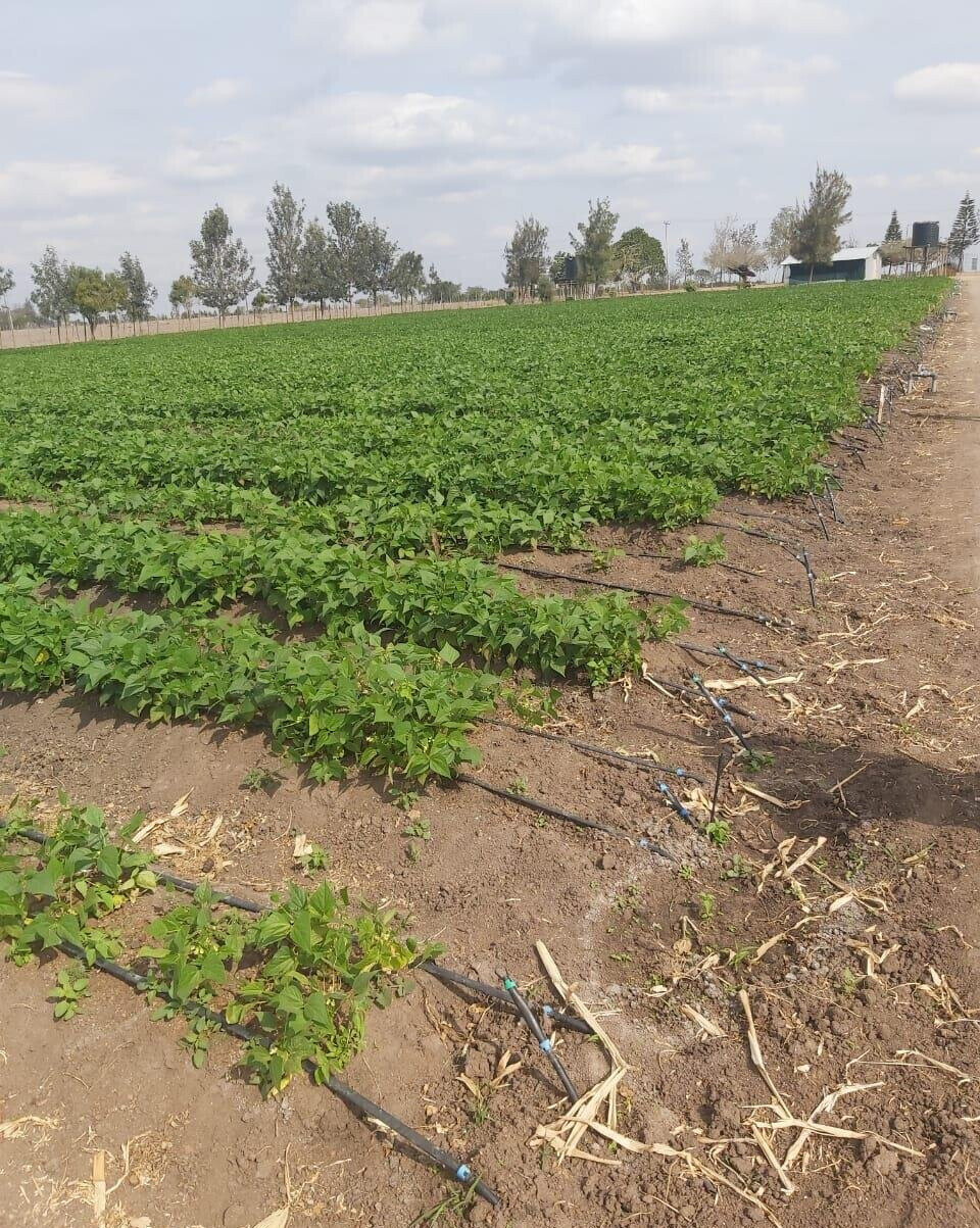 20-Acre Land with Borehole - Kisaju