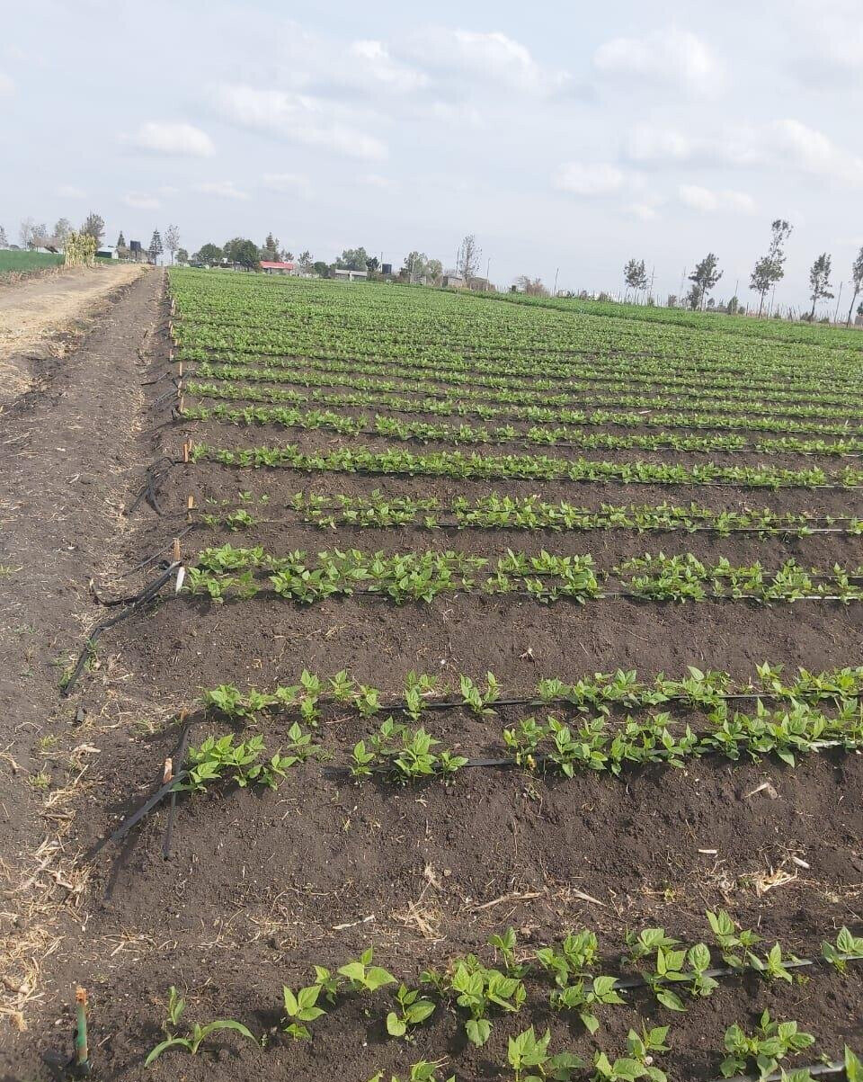 20-Acre Land with Borehole - Kisaju