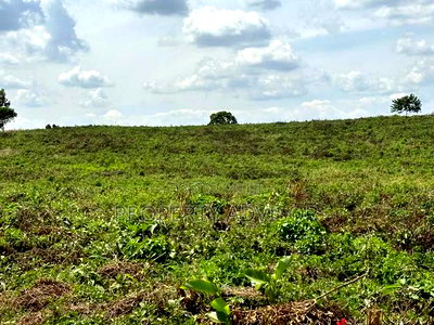 10 Acres Vacant Land for Sale in Kiambu Road (Kenya) - Image 7