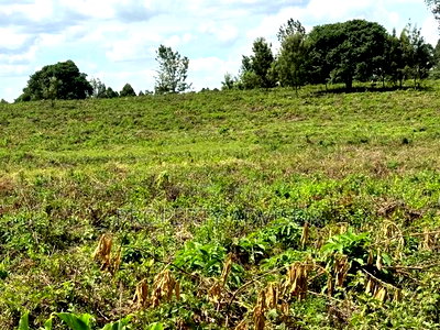 10 Acres Vacant Land for Sale in Kiambu Road (Kenya) - Image 3