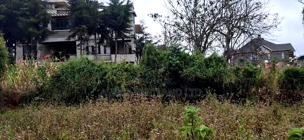 100x100 Plot for Sale in Kikuyu Gikambura