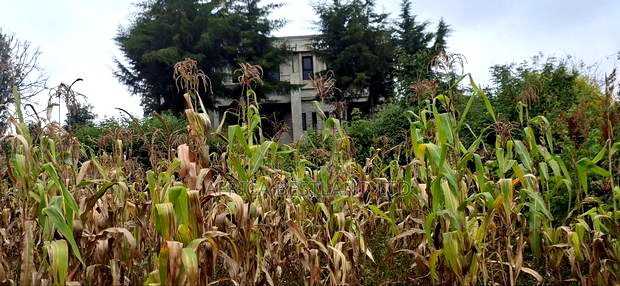 100x100 Plot for Sale in Kikuyu Gikambura