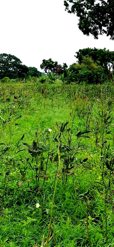 For Sale Several Eighth Acres Plots - Image 6