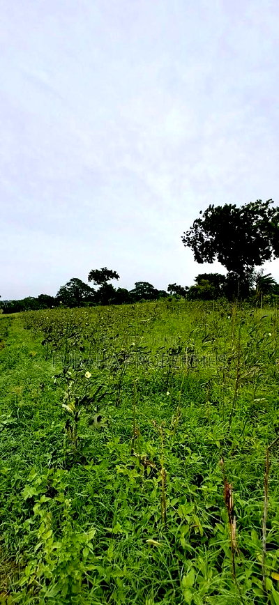 For Sale Several Eighth Acres Plots - Image 4