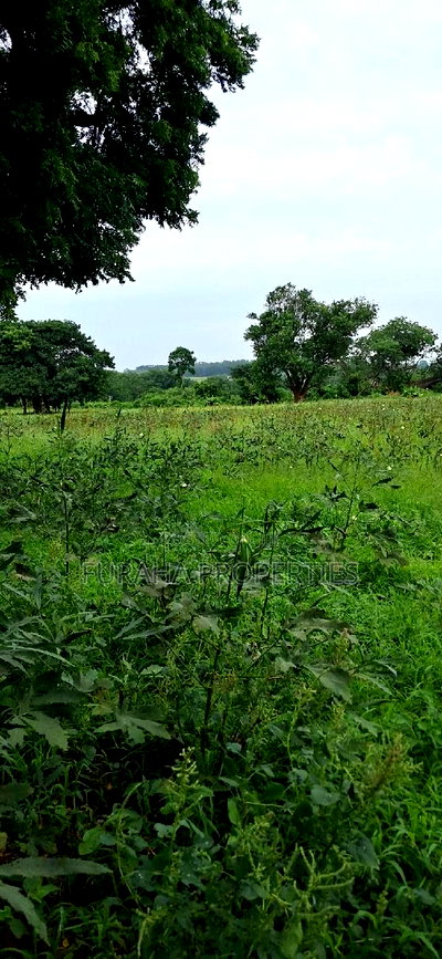 For Sale Several Eighth Acres Plots - Image 3