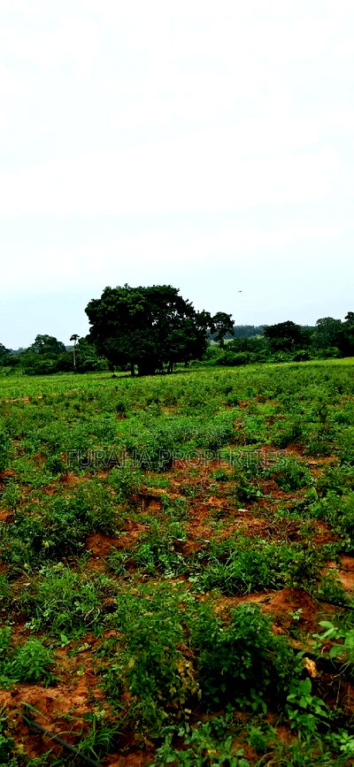 For Sale Several Eighth Acres Plots - Image 1