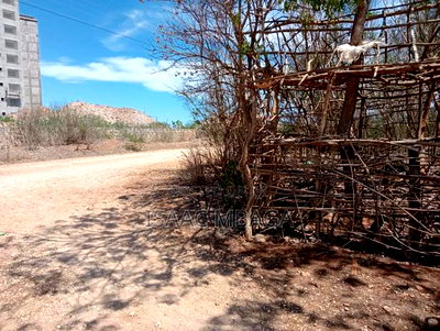 Affordable Beach Plot (Half an Acre) - Image 4