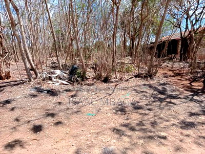 Affordable Beach Plot (Half an Acre) - Image 5