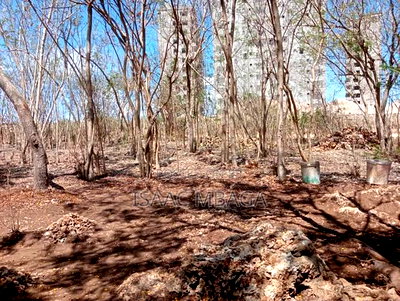 Affordable Beach Plot (Half an Acre) - Image 1