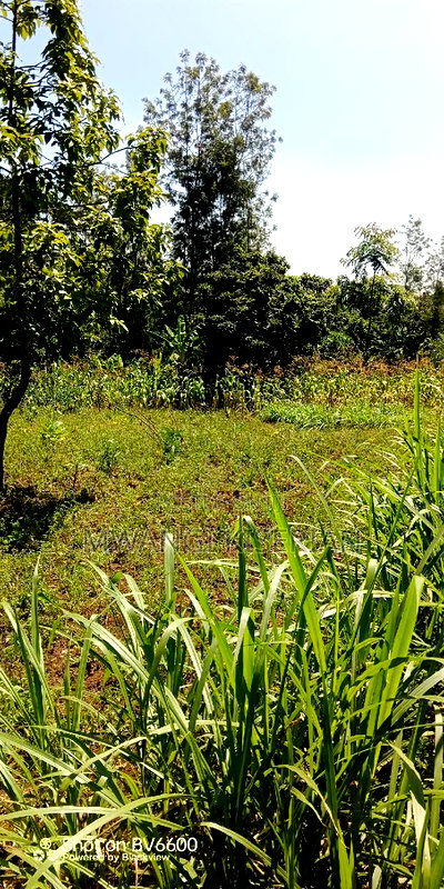 1 Acre for Sale in Kiserian - Image 8
