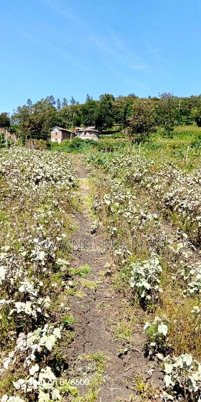 1 Acre for Sale in Kiserian - Image 12