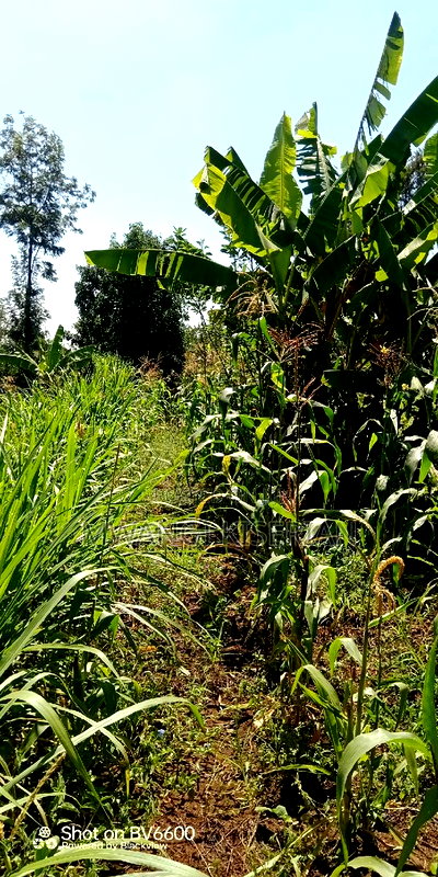 1 Acre for Sale in Kiserian - Image 7