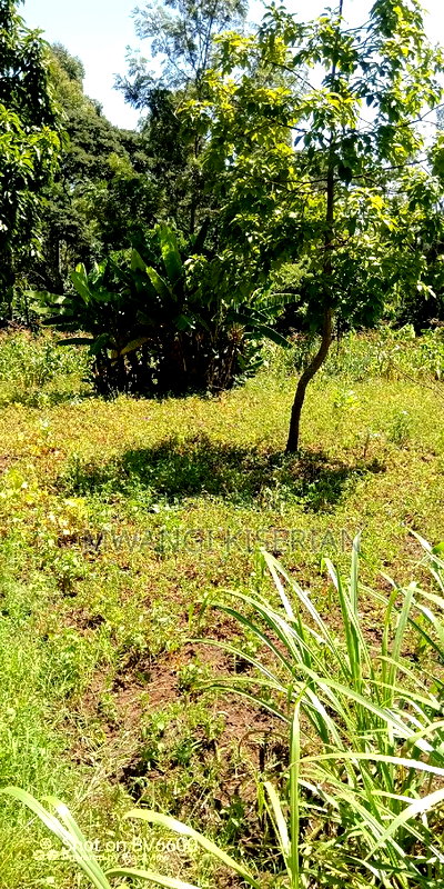 1 Acre for Sale in Kiserian - Image 9
