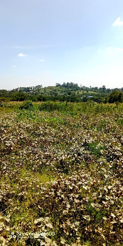 1 Acre for Sale in Kiserian - Image 14