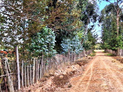 Exceptional Property Available for Purchase - Image 3